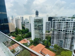 The Peak @ Cairnhill II (D9), Apartment #200400972